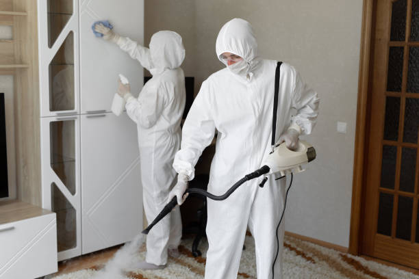Best Mold Removal Process  in Ninety Six, SC